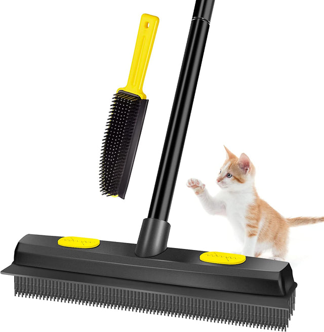 pet Hair Removal Broom