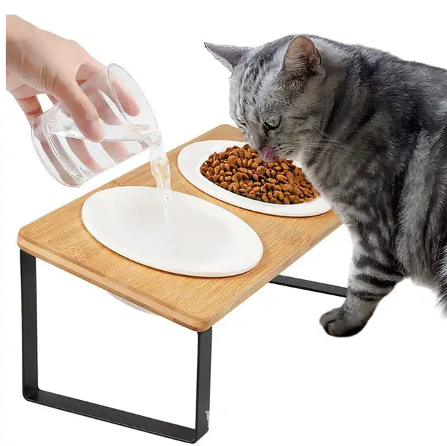 Ceramic Elevated Cat Bowls