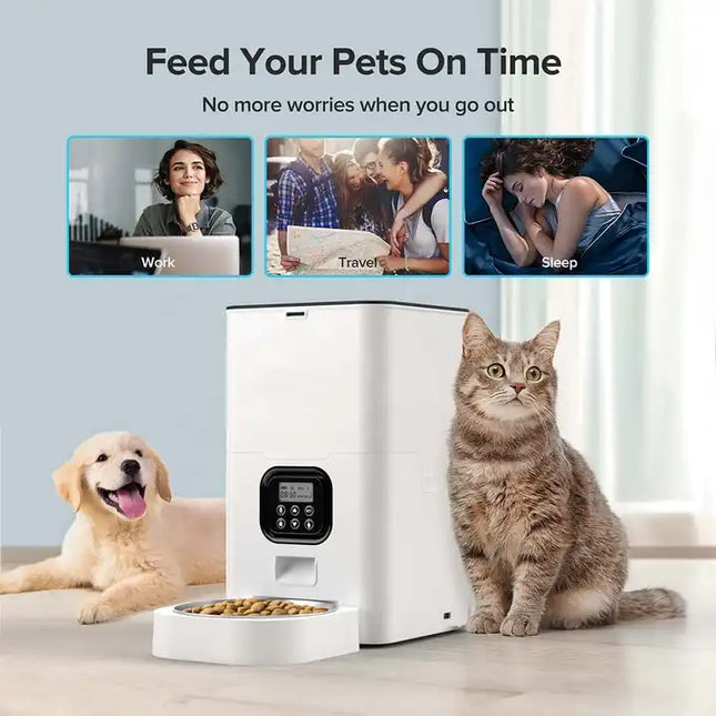 Yeabett Automatic Pet Feeders